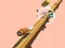 Jeu Spiral Rush en ligne