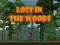 Jeu Lost in the Woods en ligne