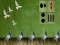 Jeu Pigeon Escape 2 en ligne