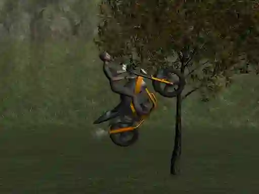 Jeu Mountain Bike Rider en ligne