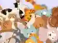 Jeu Find The Kitty en ligne