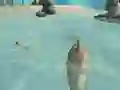 Jeu Shark Simulator Beach Killer en ligne