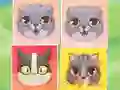 Jeu Kitten Match en ligne