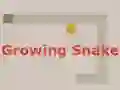 Jeu Growing Snake en ligne
