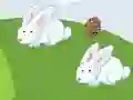 Jeu Crazy Eggs en ligne