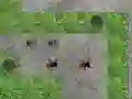 Jeu Spider Tower Defence en ligne