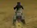 Jeu Real Moto Stunts Challenge en ligne