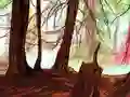 Jeu Hidden Stars en ligne