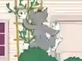 Jeu Tom und Jerry: Wasserbomben Wahnsinn en ligne