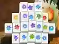 Jeu Spring Flower en ligne