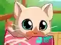 Jeu My Pocket Pets Kitty Cat en ligne