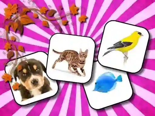 Jeu Animals Memory en ligne