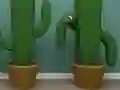 Jeu Cactus Cube en ligne