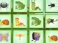 Jeu Find The Insect en ligne
