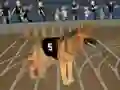 Jeu Crazy Dog Racing Fever en ligne