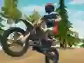 Jeu Dirt Bike Enduro Racing en ligne