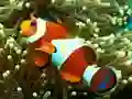 Jeu Underwater Hidden Numbers en ligne