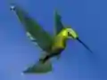 Jeu Hummingbird House Escape en ligne