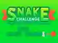 Jeu Snake Challenge en ligne