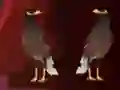 Jeu Peikin Duck Escape en ligne