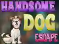 Jeu Handsome Dog Escape en ligne