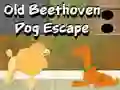 Jeu Old Beethoven Dog Escape en ligne