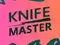 Jeu Knife Master en ligne