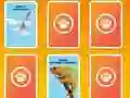 Jeu National Geographic Kids Matching en ligne