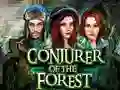 Jeu Conjurer Of The Forest en ligne