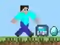 Jeu Pro Steve en ligne