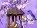 Jeu Wonderful Humming Bird Land Escape en ligne