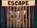 Jeu Beautiful Little Bat Escape en ligne
