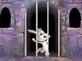 Jeu Victory Rabbit Escape en ligne