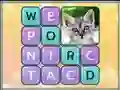 Jeu Word Search Pictures en ligne