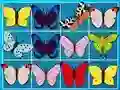 Jeu King Of Mahjong en ligne