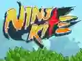 Jeu Ninja Kite en ligne