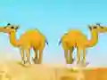 Jeu Desert Gold Rush The Great Treasure Escape en ligne