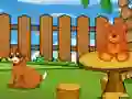Jeu Funny Iguana Escape en ligne