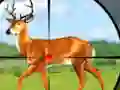 Jeu Wild Hunt Hunting Games 3D en ligne