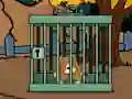 Jeu Staffordshire Bull Terrier Escape en ligne