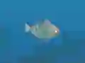 Jeu Fish Companions en ligne