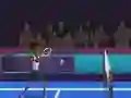 Jeu Badminton Brawl en ligne