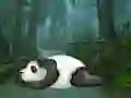 Jeu Wakeup The Sleeping Panda en ligne
