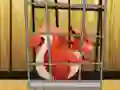 Jeu Rescue The Red Squirrel From Cage en ligne