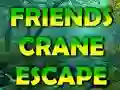 Jeu Friends Crane Escape en ligne