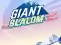 Jeu Giant Slalom en ligne
