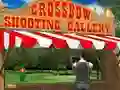 Jeu Crossbow Shooting Gallery en ligne
