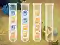 Jeu Sort Bubbles en ligne