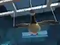 Jeu Goose Museum en ligne