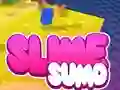 Jeu Sumo Slime 3D en ligne